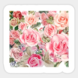 pink roses Sticker